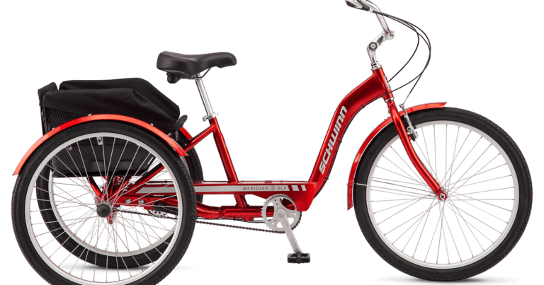Tricycle Delights: Finding Your Perfect Ride